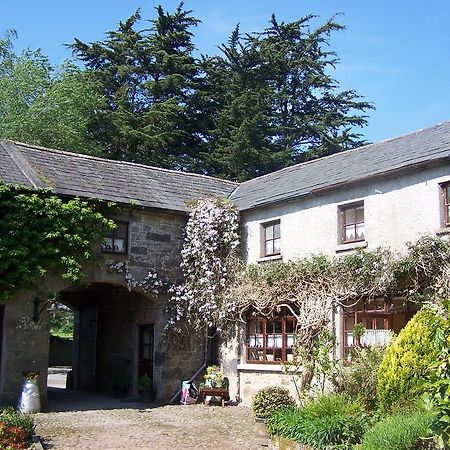 تيبيراري Ballinacourty House B&B المظهر الخارجي الصورة