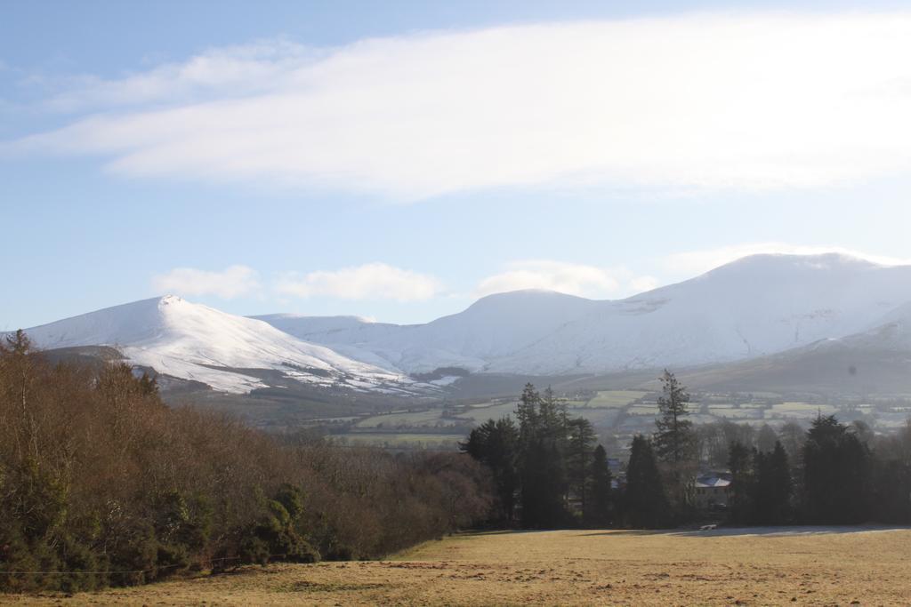 تيبيراري Ballinacourty House B&B المظهر الخارجي الصورة
