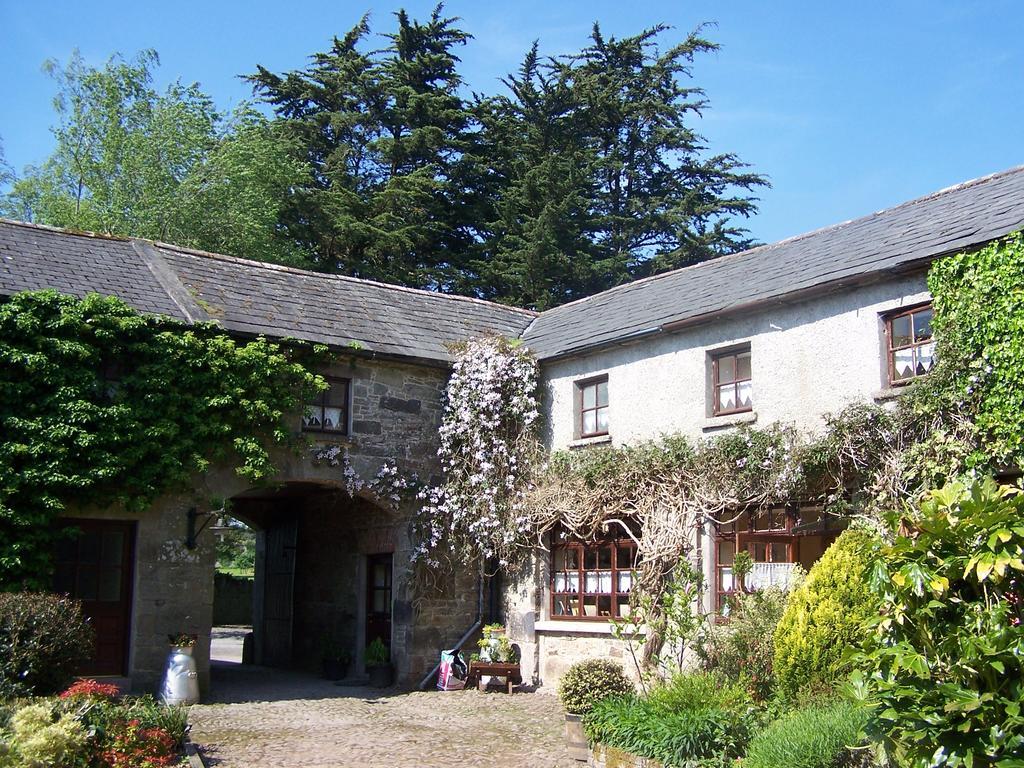 تيبيراري Ballinacourty House B&B المظهر الخارجي الصورة