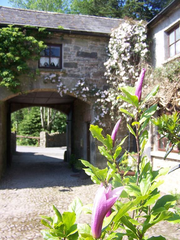 تيبيراري Ballinacourty House B&B المظهر الخارجي الصورة