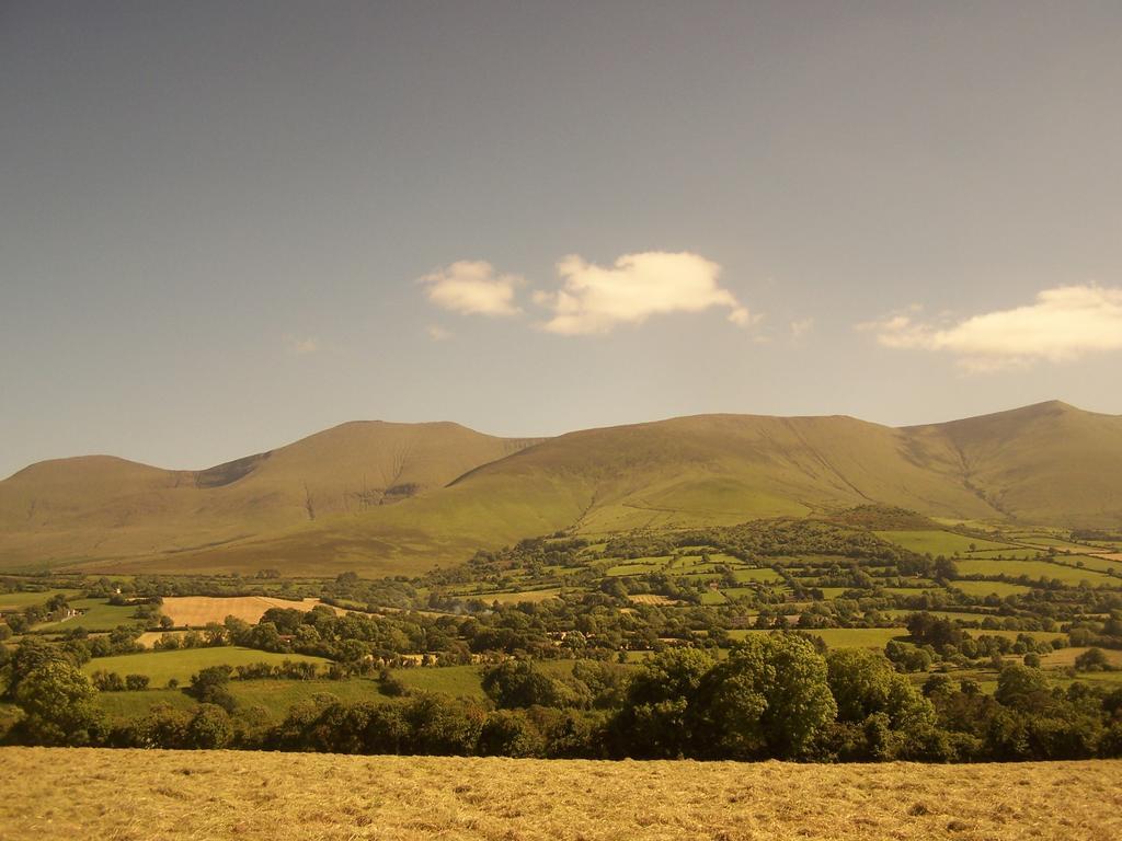 تيبيراري Ballinacourty House B&B المظهر الخارجي الصورة