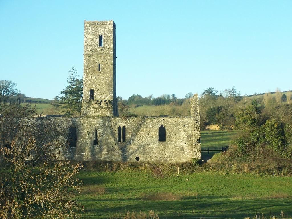 تيبيراري Ballinacourty House B&B المظهر الخارجي الصورة