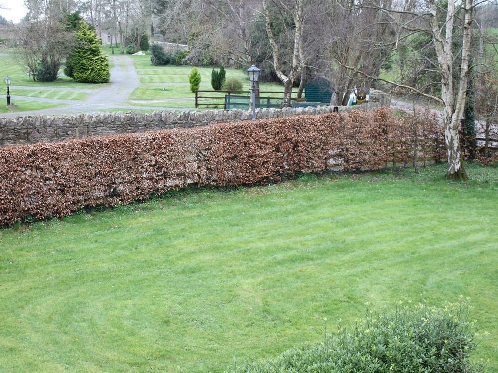 تيبيراري Ballinacourty House B&B المظهر الخارجي الصورة