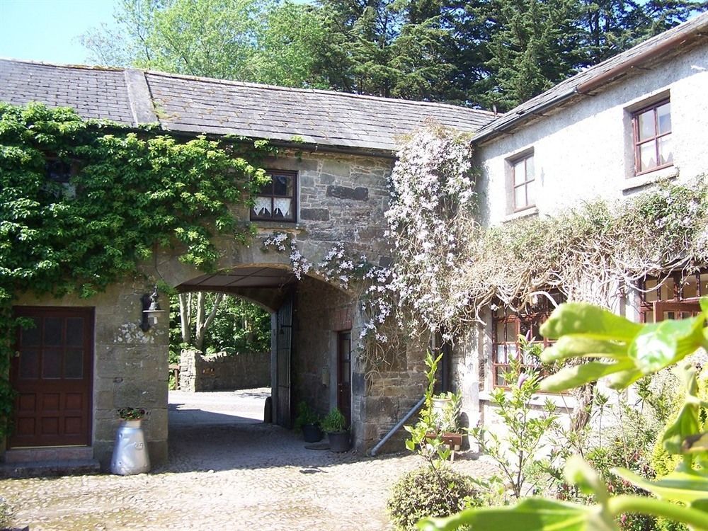 تيبيراري Ballinacourty House B&B المظهر الخارجي الصورة