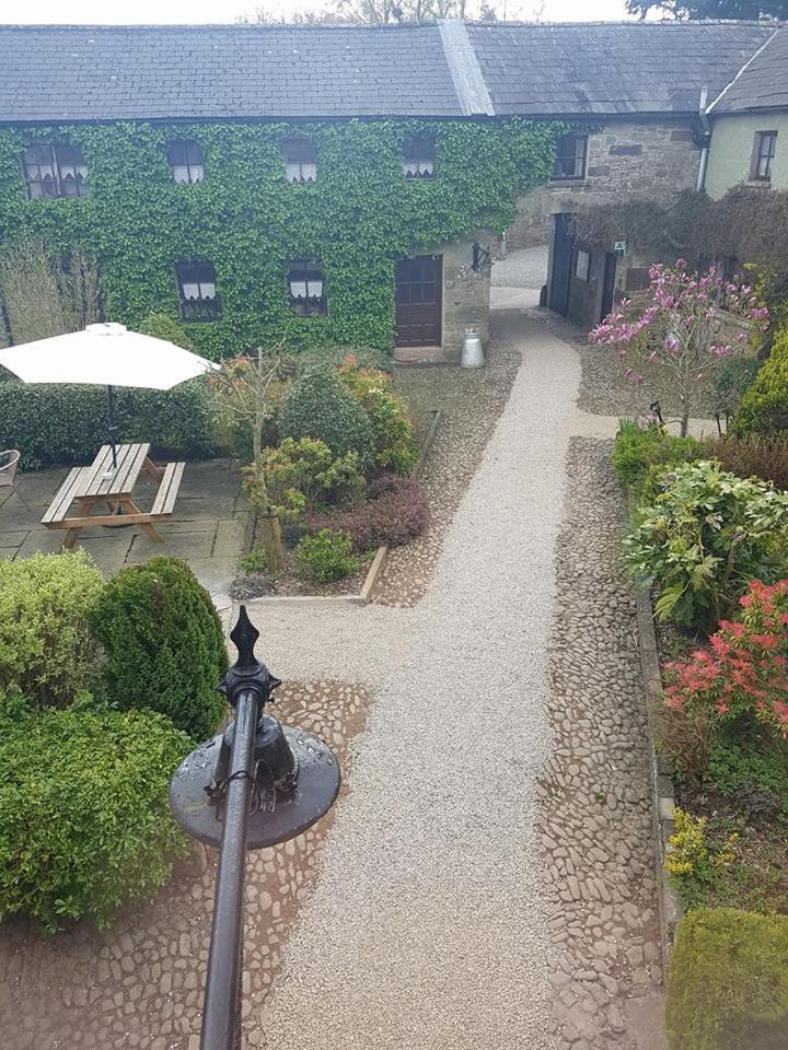 تيبيراري Ballinacourty House B&B المظهر الخارجي الصورة