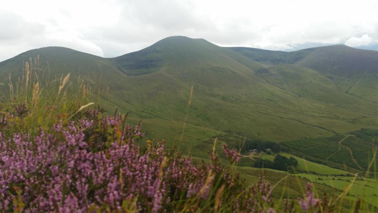 تيبيراري Ballinacourty House B&B المظهر الخارجي الصورة
